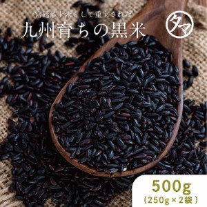 黒米 (紫黒米) 500g (250g×2袋)　黒米の王様(黒紫米)古代から伝わる黒米 お試し 食品 減農薬栽培 くろまい ブラック 雑穀米 雑穀 栄養 