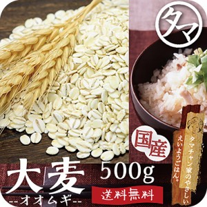 【送料無料】九州産 大麦（押し麦）500g (250g×2袋)　食べる食物繊維の宝庫な食材。注目される第6の栄養素とされる食物繊維を豊富に含ん