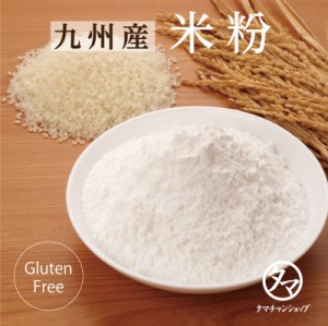 【送料無料】九州産 米粉 300g (国産100％　無添加) 九州の緑豊かな大地で育てられたお米を使用してつくられた米粉