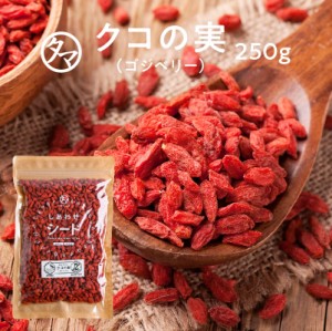 クコの実-無添加250g（原産地：中国） 送料無料  くこのみ ゴジベリー 漢方 中華 ビタミン ミネラル スーパーフード 種子 たね 種 食品 