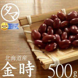 北海道産 金時豆 500ｇ（令和4年産）まめ 豆 国産 レジスタントスターチ テレビ たんぱく質 プロテイン ギフト プレゼント 無塩 無油 グ