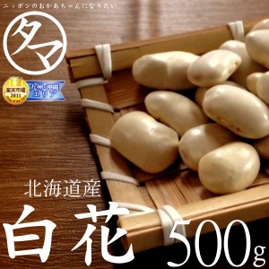 北海道産 白花豆 500ｇ(令和4年産) シロハナマメ 豆 国産 レジスタントスターチ テレビ たんぱく質 プロテイン ギフト プレゼント 無塩 