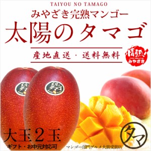 太陽のタマゴ 大玉２L・2玉 最高級 フルーツ マンゴー 宮崎 送料無料 のし対応可能。厳しい基準を乗り越えた『香り・色艶・糖度』全てが