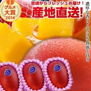 宮崎完熟マンゴー中玉3玉 送料無料 宮崎 南国 フルーツ 果物 ギフト 贈り物 プレゼント 完熟 マンゴー 地元 お中元 お取り寄せギフト お