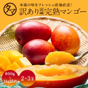 訳あり宮崎完熟マンゴー 800g〜1kg 正規品の50％OFF以上 送料無料  濃厚な甘みととろける食感をお楽しみ下さい。 フルーツ 果物 お得 産
