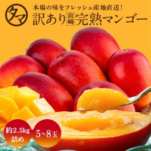 訳あり宮崎完熟マンゴー 2.5kg詰め 正規品の50％OFF以上 お得 送料無料 フルーツ 果物 お取り寄せグルメ お取り寄せスイーツ フルーツ ス