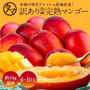 訳あり宮崎完熟マンゴー 3kg詰め 正規品の50％OFF以上 お得 送料無料 フルーツ 果物 お取り寄せグルメ お取り寄せスイーツ フルーツ スィ