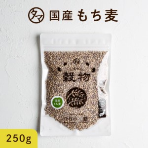 もち麦250g 無添加 令和3年産/愛媛県・香川県産 もち麦ごはん 食物繊維 高タンパク 高ミネラル β-グルカン 健康食品 雑穀 むぎ 麦ご飯 