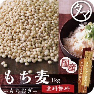  国産 もち麦 1kg(250g×4袋) 無添加 令和3年産 もち麦ごはん 食物繊維 高タンパク 高ミネラル β-グルカン 健康食品 雑穀 むぎ 麦ご飯 