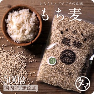 もち麦500g 無添加 令和3年産/愛媛県・香川県産 もち麦ごはん 食物繊維 高タンパク 高ミネラル β-グルカン 健康食品 雑穀 むぎ 麦ご飯 