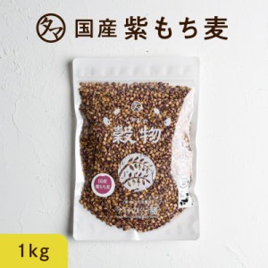 紫もち麦 国産 1kg(250g×4袋) ダイシモチ 無添加 令和元年産 もち麦ごはん 食物繊維 高タンパク 高ミネラル β-グルカン 健康食品 雑穀 