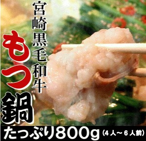 絶品もつ鍋グルメ【送料無料】宮崎黒毛和牛特選もつ800g【宮崎黒毛和牛１００％】般のもつとは比較にならない極上の旨味 肉