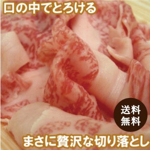 【宮崎県産黒毛和牛 霜降り特選切り落とし500g】 しゃぶしゃぶにもすき焼きにも丼ぶりにもとろける味わい  送料無料 肉 お肉 和牛 肉 お