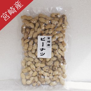 【九州育ちピーナツ】宮崎産落花生（焙煎ピーナツ）150g 丁寧に釜炒り焙煎。小粒ですが香ばしくておいしいです。落花生 国産 らっかせい