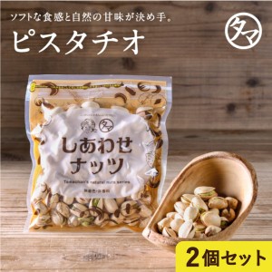 素焼きピスタチオ 100g×2個セット  無添加 無塩 ロースト 殻つき 健康 手土産 贈答用カリフォルニア産 ぴすたちお ナッツ 無油 無着色 S