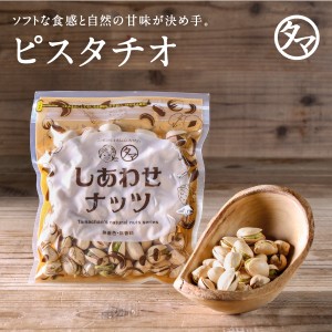 素焼きピスタチオ 100g 無添加 無塩 ロースト 殻つき 健康 手土産 贈答用カリフォルニア産 ぴすたちお ナッツ 無油 無着色 SNUTS グルメ 