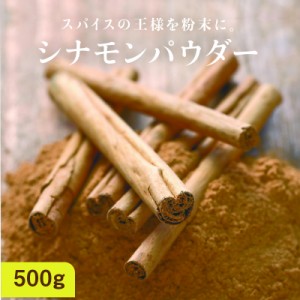 有機シナモンパウダー500g（100g×5袋）シナモン スパイス 調味料 シナモン 原料100% シナモンパウダー 送料無料 バレンタイン お試し お