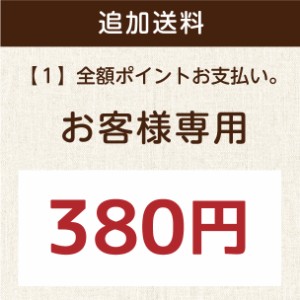 オプション追加送料【追加送料380円】