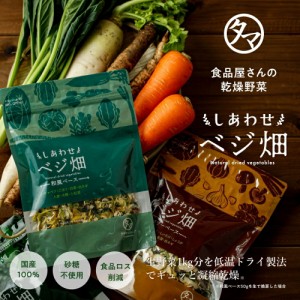 ななつのしあわせベジ畑 【送料無料】選べる乾燥野菜 国産 ベジ畑 (完全無添加・砂糖不使用) 手軽で便利な人にも環境にもやさしい低温ド