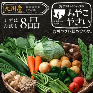 九州野菜お試し8品セット 【送料無料】（期間限定：花切り大根プレゼント） 九州で採れたみずみずしく美味しい野菜 野菜セット 新鮮野菜 