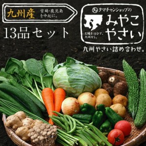  九州野菜13品セット 【送料無料】 （期間限定：花切り大根プレゼント）九州の美味しい野菜の選りすぐりベストセレクションセット 九州で