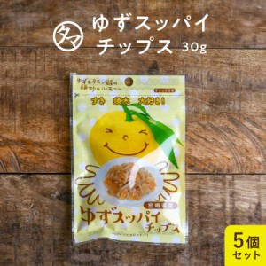 ゆずすっぱいチップス30g×5個セット 宮崎県産須木村 柚子ピール 皮使用 爽やかな味わい お試し サンプル スナック ご当地 おかし おやつ