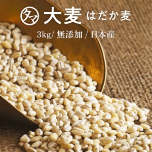 【送料無料】国産 大麦(はだか麦) 3kg(250g×12袋) プチッと弾ける独特の食感と香ばしさはクセになる穀物食べる食物繊維の宝庫な食材 レ