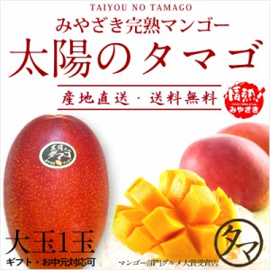 太陽のタマゴ 大玉２L・1玉 最高級 フルーツ マンゴー 宮崎 送料無料 のし対応可能。厳しい基準を乗り越えた『香り・色艶・糖度』全てが