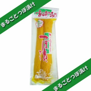 宮崎切干大根使用つぼ漬け（１本漬け）300ｇ お試し 食品