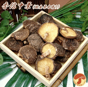 【香信中葉しいたけ 100g】九州産 干し椎茸 干ししいたけ きのこ 乾ししいたけ 乾燥しいたけ 乾燥椎茸 無添加 国産 九州産 キノコ だし 