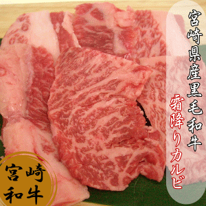 宮崎県産黒毛和牛霜降りカルビ500g 宮崎牛 牛肉 お肉 和牛 ギフト 贈り物 肉 送料無料