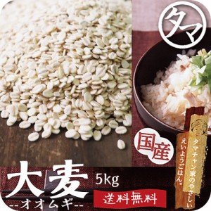 【送料無料】九州産 大麦（押し麦）5kg (250g×20袋)食べる食物繊維・βグルカンの宝庫な食材。注目される第6の栄養素とされる食物繊維豊