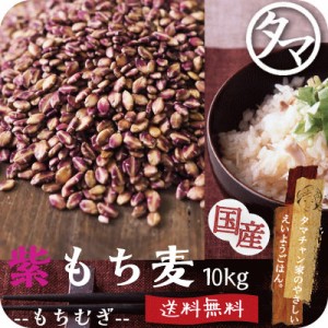 紫もち麦10kg(250g×40袋）ダイシモチ 無添加 令和元年産 もち麦ごはん 食物繊維 高タンパク 高ミネラル β-グルカン 健康食品 雑穀 むぎ