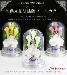 プリザーブドフラワー 仏花 新盆 初盆 お供え花 仏壇用 ケース 法事 お供え 供花 【3カラードーム】 初盆 新盆 喪中はがき ブリザーブド