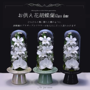 新盆 初盆 プリザーブドフラワー 仏花 お供え 仏壇用 プリザーブドフラワー ケース 【胡蝶蘭Glass】 法事 供花 喪中はがき お悔やみ 枕花