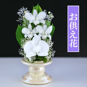 新盆 初盆 プリザーブドフラワー 仏花 即日配送 お供え 仏壇用 法事 供花 【デンファレVase】 喪中はがき お悔やみ 枕花 送料無料 アート