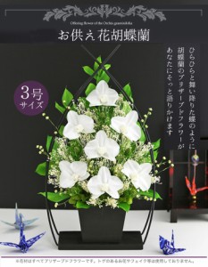 プリザーブドフラワー 仏花 新盆 初盆 お供え花 即日配送 お悔やみ 【3号サイズ OP胡蝶蘭】 通夜 葬儀 告別式 お彼岸 弔電 仏壇  送料無