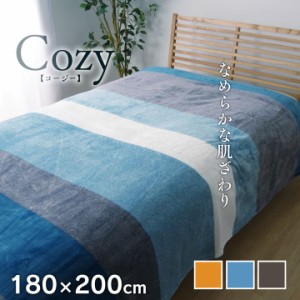 毛布 軽量毛布 ダブル 180×200 cm コージー おしゃれ 洗える 肌掛け ベッドスプレッド オールシーズン フランネル tm送料無料