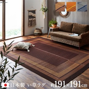 ラグ 夏 カーペット い草ござ ラグ おしゃれ 「 ランクス 」約191 × 191 cm 畳 カバー センター ラグ い草 ラグ い草カーペット カ