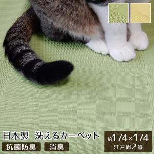 ペット ラグ 洗える 粗相 カーペット 犬 猫 ラグ 江戸間2畳 約 174 × 174 cm 水をはじく 汚れ にくい い草風 防ダニ 日本製