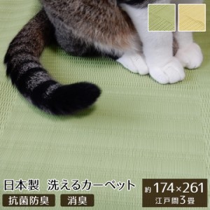 ペット ラグ 洗える 粗相 カーペット 犬 猫 ラグ 江戸間3畳 約 174 × 261 cm 水をはじく 汚れ にくい い草風 防ダニ 日本製