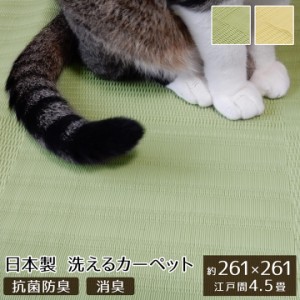 ペット ラグ 洗える 粗相 カーペット 犬 猫 ラグ 江戸間4.5畳 約 261 × 261 cm 水をはじく 汚れ にくい い草風 防ダニ 日本