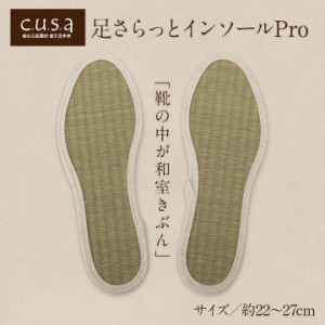 インソール 中敷き 畳 「足さらっと い草インソールPro」 22cm〜27cm 日本製 父の日 ムレ メンズ レディース ブーツ 革靴 臭い 運動靴 靴