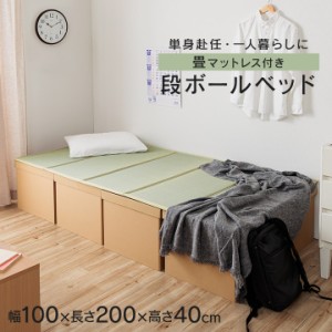 防災グッズ ベッド シングル 段ボールベッド 簡易ベッド 「 段ボール畳ベッド 」 約100×200×40cm 畳ベッド 畳マットレス 小上がり 単身