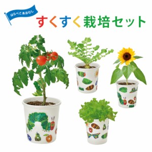 ギフト プレゼント 栽培キット 栽培セット はらぺこあおむし 日本製 野菜 やさい キット 土セット 家庭菜園 ガーデニング バルコニー ベ