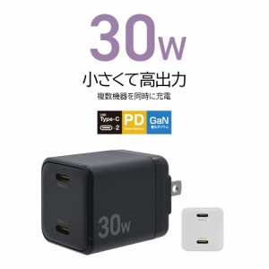 充電器 ACアダプター AC充電器 USB Type-C 2ポート PD対応 急速充電 高速充電 コンセント 30W 高出力 GaN 窒化ガリウム ラスタバナナ