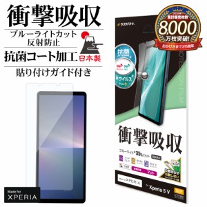 Xperia 5 V SO-53D SOG12 XQ-DE44 フィルム 平面保護 衝撃吸収 ブルーライトカット アンチグレア 反射防止 抗菌 VY4095XP55 ラスタバナナ