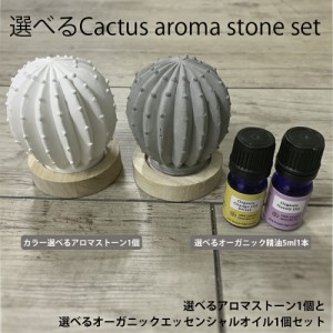 &SH おしゃれ シンプル アロマストーンセット サボテン オーガニック エッセンシャルオイル( 精油 )5ml1本付 [ アロマオイル 自然コンク