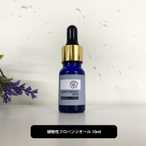 ＆SH 植物性プロパンジオール 10ml [ プロパンジオール 手作りコスメ 手作りリップ 手作り石けん 手作りクリーム ハンドメイド 手作り コ