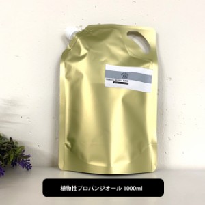 ＆SH 植物性プロパンジオール 1000ml [ プロパンジオール 手作りコスメ 手作りリップ 手作り石けん 手作りクリーム ハンドメイド 手作り 